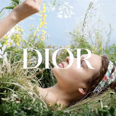 dior sustainability report|dior ethical issues.